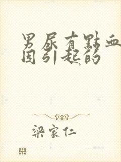 男尿有点血的原因引起的