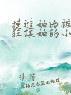 摸进她内裤里疯狂揉她的小说