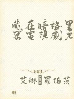 藏在暗格里的秘密电视剧免费看