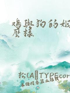 鸡与狗的姻缘怎么样