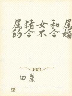 属猪女和属猴男的合不合婚