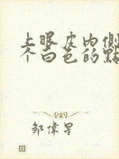 上眼皮内侧长了个白色的点怎么回事