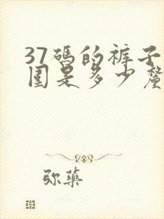 37码的裤子腰围是多少厘米