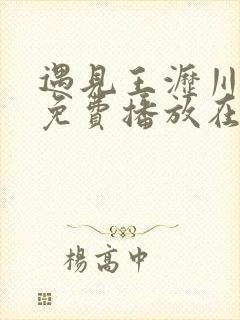 遇见王沥川全集免费播放在线观看