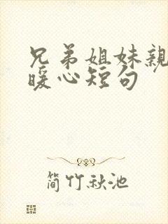 兄弟姐妹亲情最暖心短句