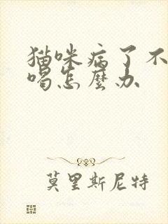 猫咪病了不吃不喝怎么办