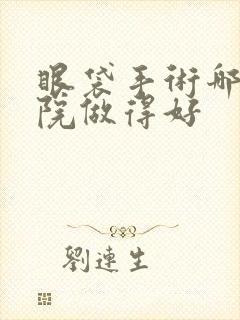 眼袋手术哪个医院做得好