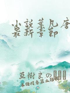 小说叶凡唐若雪最新章节