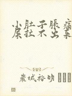 小肚子胀痛想拉屎拉不出来怎么回事