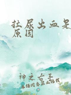 拉尿出血是什么原因