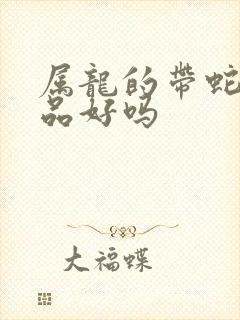 属龙的带蛇的饰品好吗