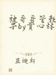 被哥哥管教的日子by赏心林淮安