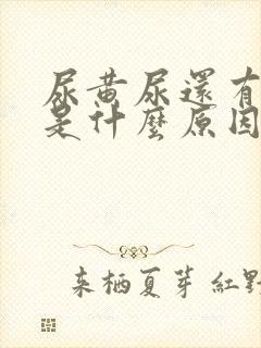 尿黄尿还有味儿是什么原因