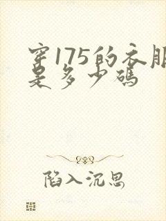 穿175的衣服是多少码