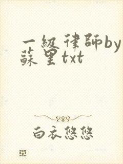 一级律师by木苏里txt