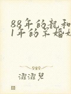 88年的龙和91年的羊婚姻怎么样