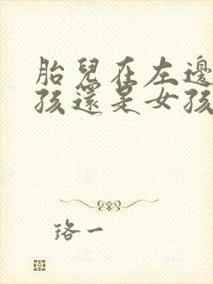 胎儿在左边是男孩还是女孩