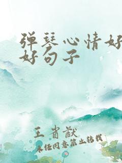 弹琴心情好和不好句子