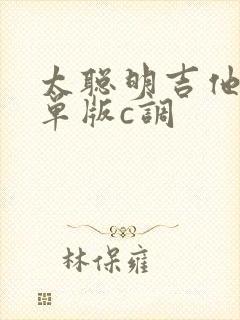 太聪明吉他谱简单版c调