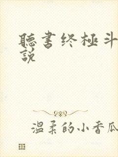 听书终极斗罗小说