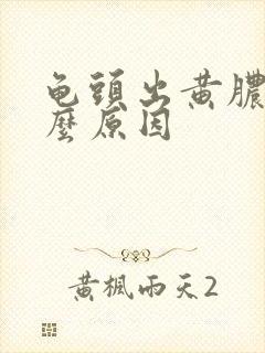 龟头出黄脓是什么原因