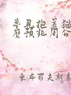 梦见抱着猫是什么预兆周公解梦