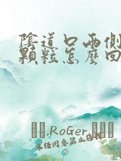 阴道口两侧长小颗粒怎么回事