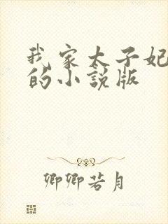 我家太子妃超凶的小说版