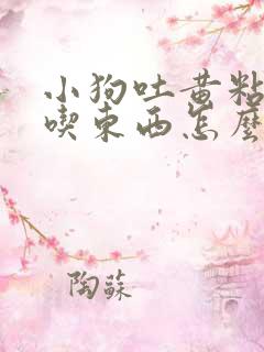 小狗吐黄粘液不吃东西怎么回事