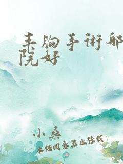 丰胸手术哪个医院好