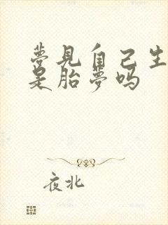 梦见自己生女儿是胎梦吗