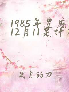 1985年农历12月11是什么星座