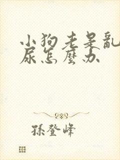 小狗老是乱拉乱尿怎么办