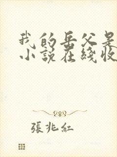 我的岳父是崇祯小说在线收听