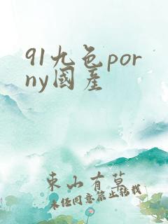 91九色porny国产