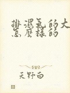 排湿气的大便是怎么样的