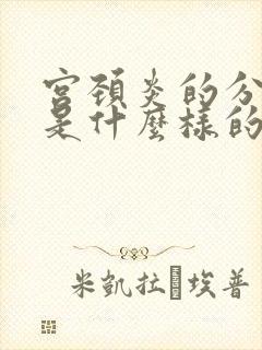 宫颈炎的分泌物是什么样的