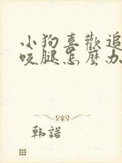 小狗喜欢追着人咬腿怎么办