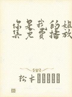 你是我的姐妹全集免费播放电视剧