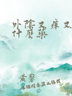 外阴又痒又肿吃什么药