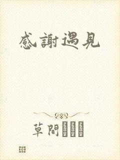 感谢遇见
