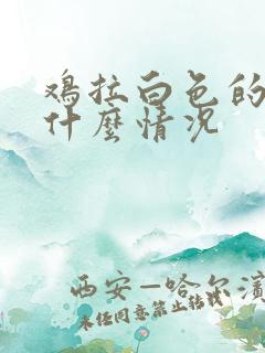 鸡拉白色的屎是什么情况