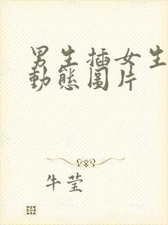 男生插女生阴道动态图片