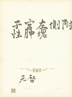 子宫左侧附件囊性肿块