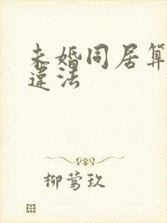 未婚同居算不算违法