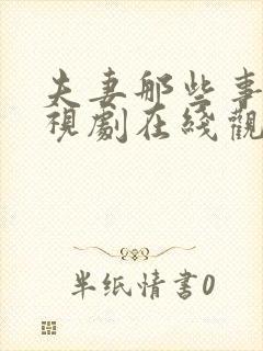 夫妻那些事儿电视剧在线观看全集