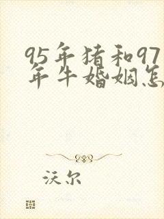 95年猪和97年牛婚姻怎么样
