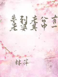 梦到老公有两个老婆其中一个是我