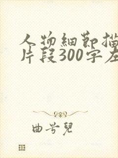 人物细节描写的片段300字左右