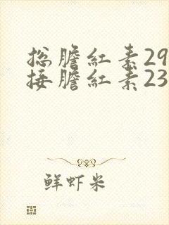 总胆红素29间接胆红素23